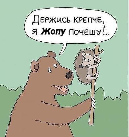 пор.jpg