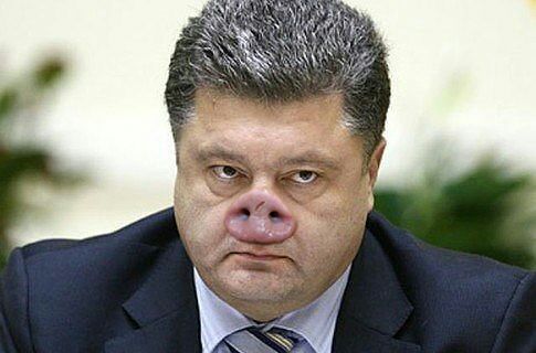 поросенок.jpg