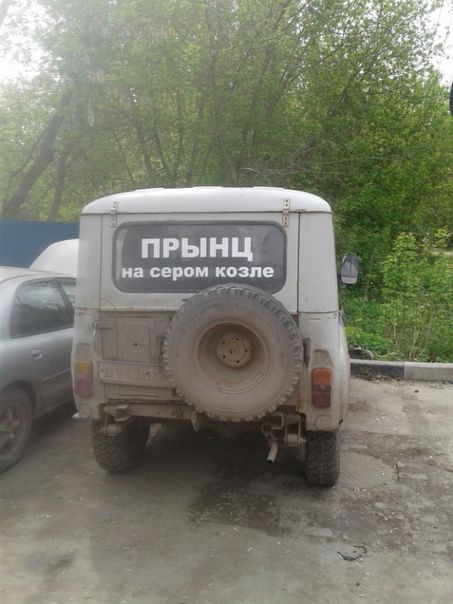ппа.jpeg