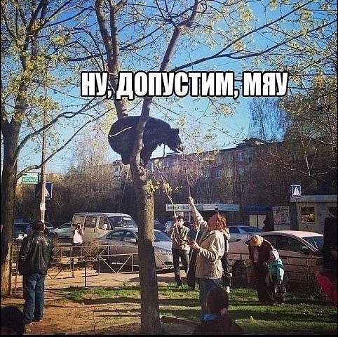 пра.jpg