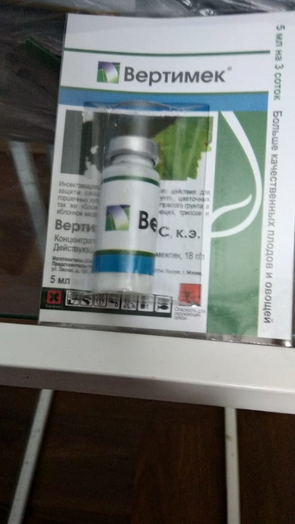 препарат 1.jpg