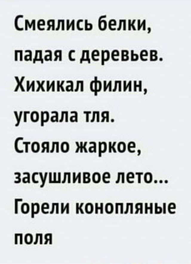 прикол.jpg