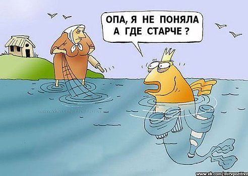 про.jpg