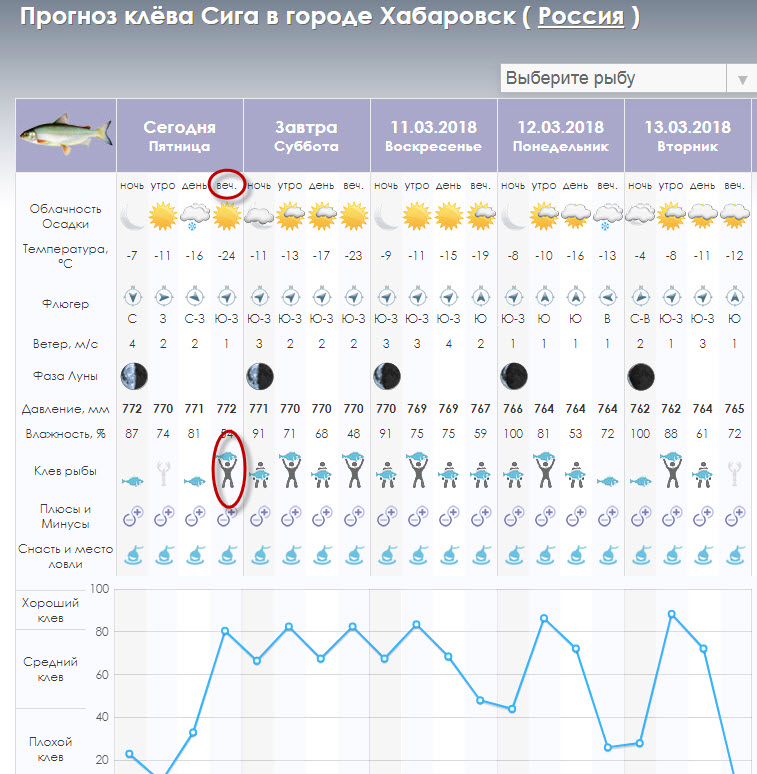 прогноз клева.jpg