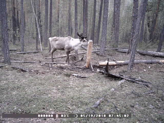 PTDC0005.JPG