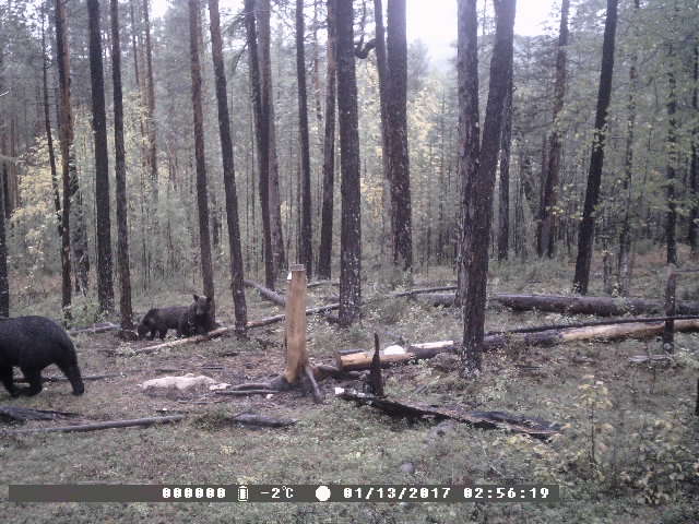 PTDC0014.JPG
