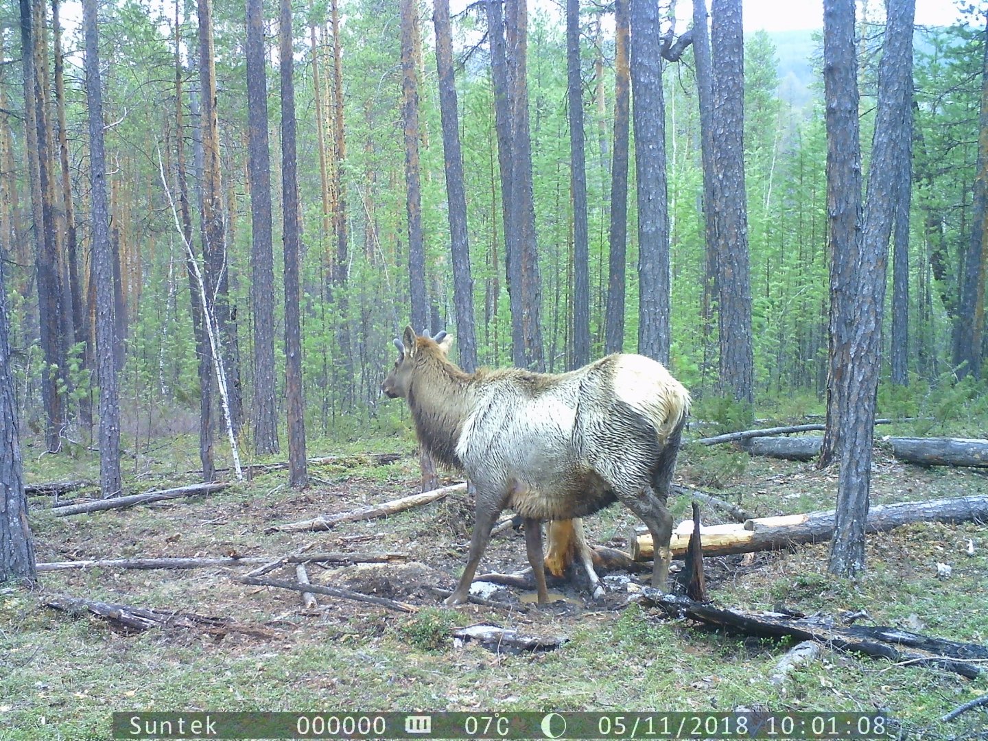 PTDC0044.JPG