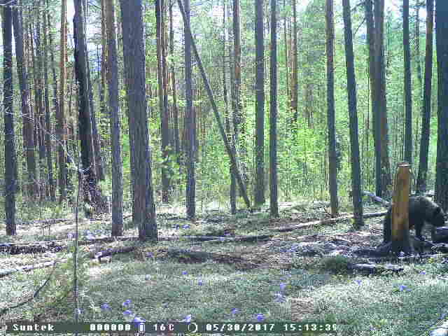 PTDC0078.JPG
