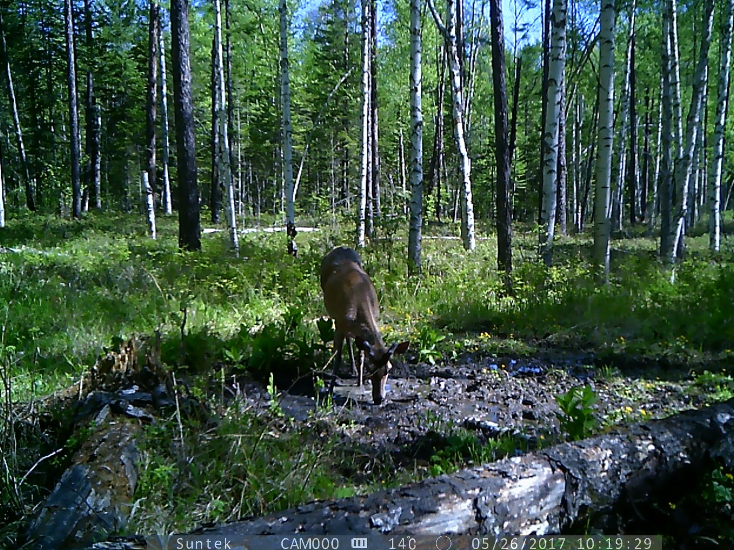 PTDC0444.JPG