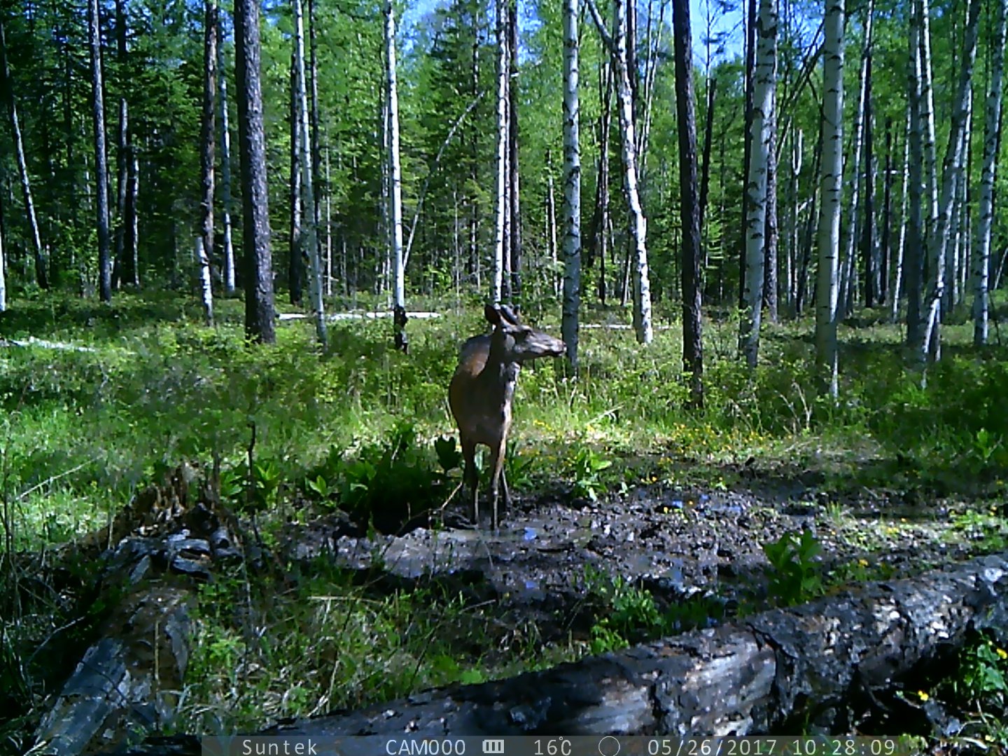 PTDC0474.JPG