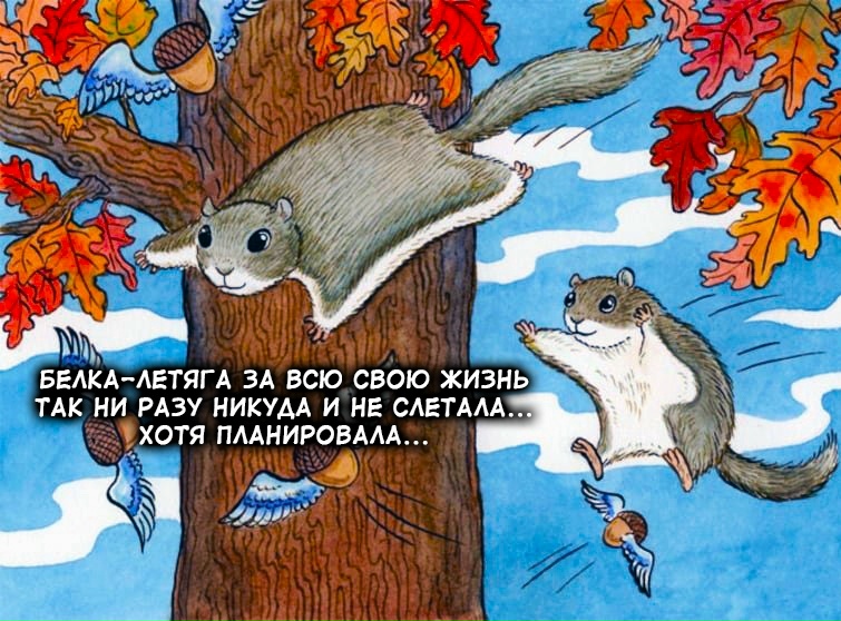 pUNWvoDZRDk-XW1U6Oqkw15sxOOdbOKNkPmhhrGj8_GMSJw5SN5mxnbQIAX1i684AsLK-GJCAJPh0KZBMdaFkOz0.jpg