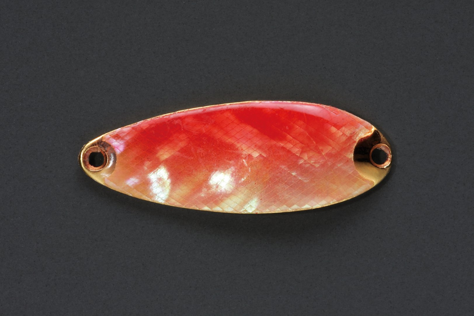 Pure Shell Nihon Awabi 03(RD-G).jpg