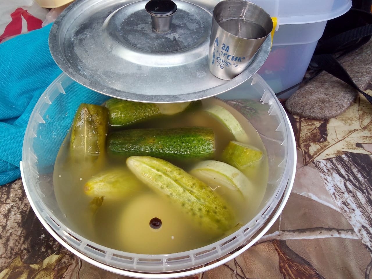 qasw.jpg