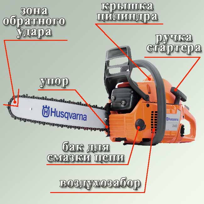 qxwljv49ihtfi1yyqpn2.jpg