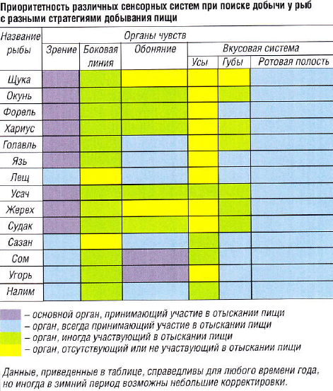 Распределение работы органов чувств у рыб.png