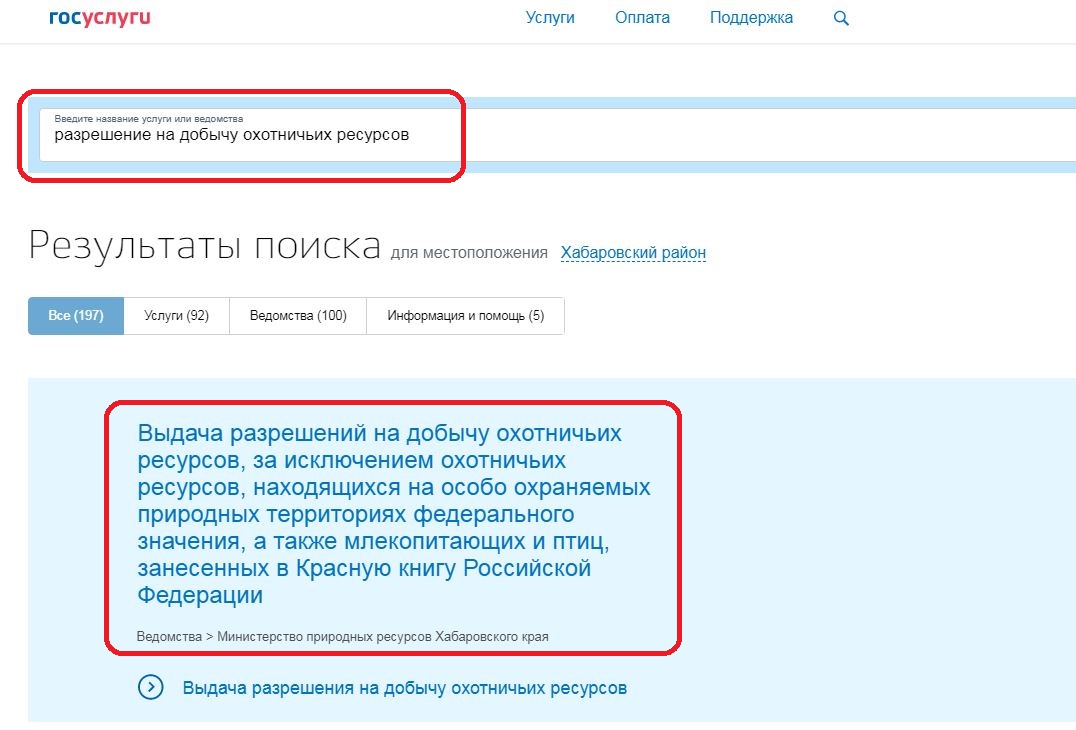 Разрешение 1.JPG