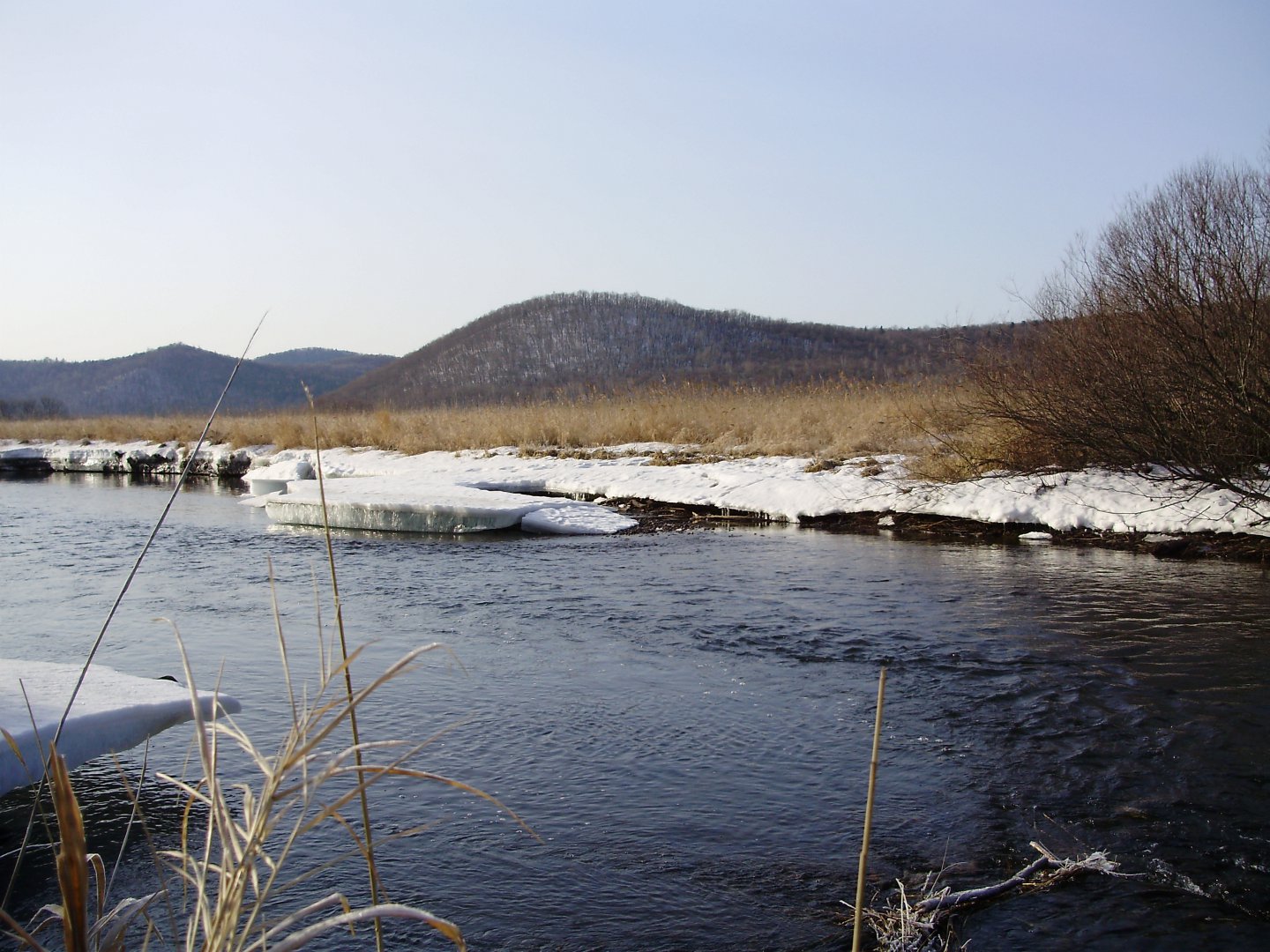 река.JPG