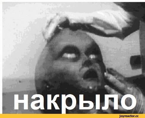 Рен-Тв-тв-телик-вся-правда-915728.jpeg