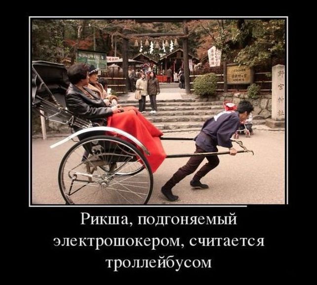 рикша.jpg