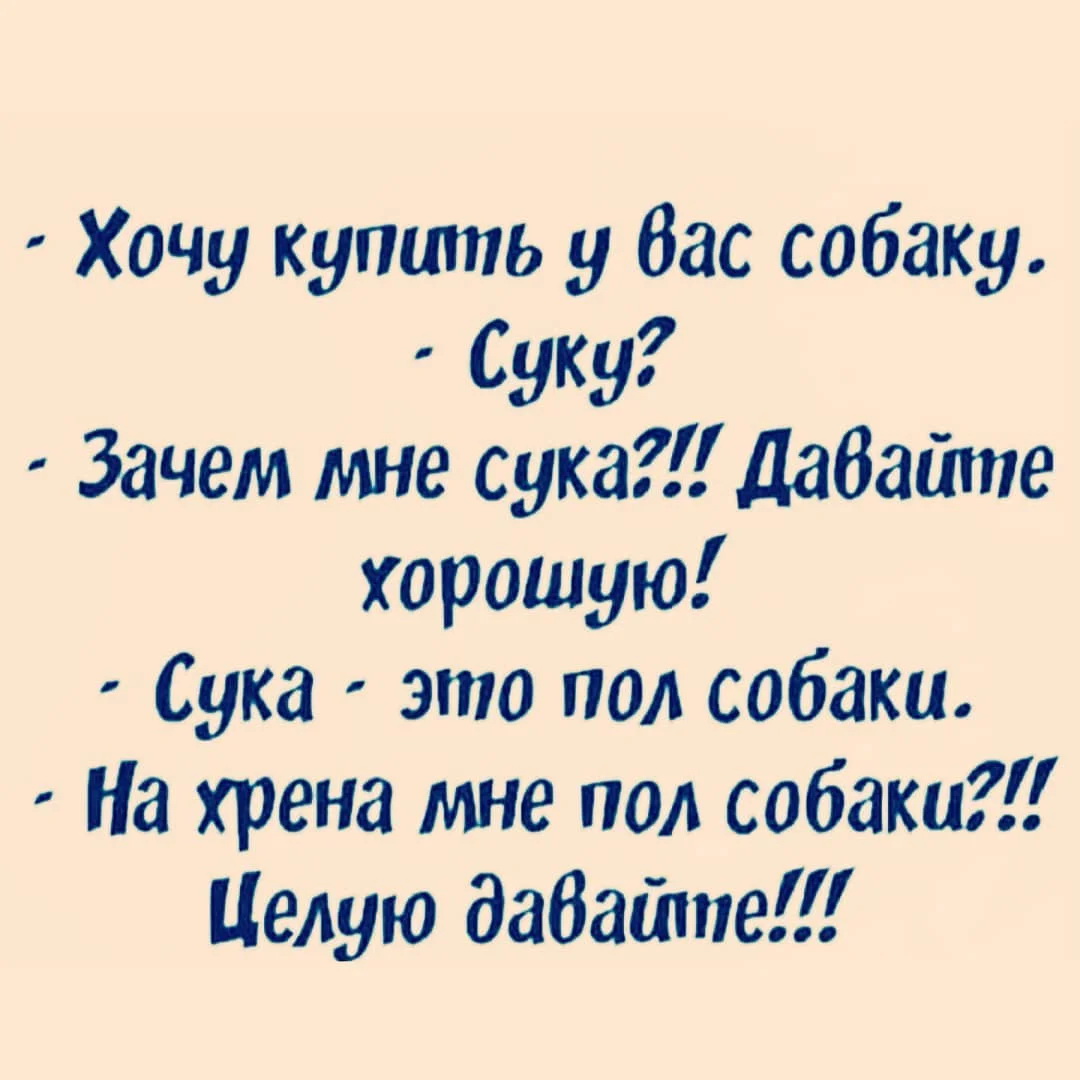 рол.jpg
