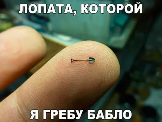 ролд.jpg