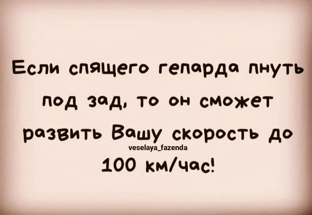 ролу.jpg