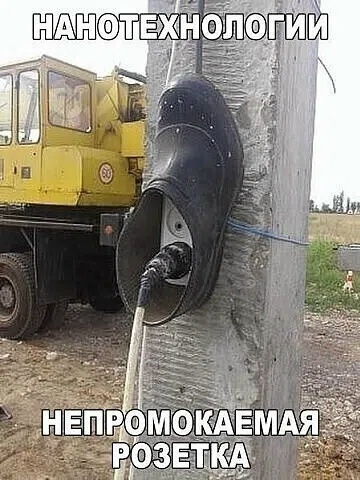 Роз.jpg