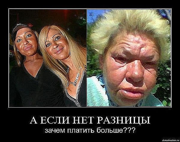 рожи.jpg
