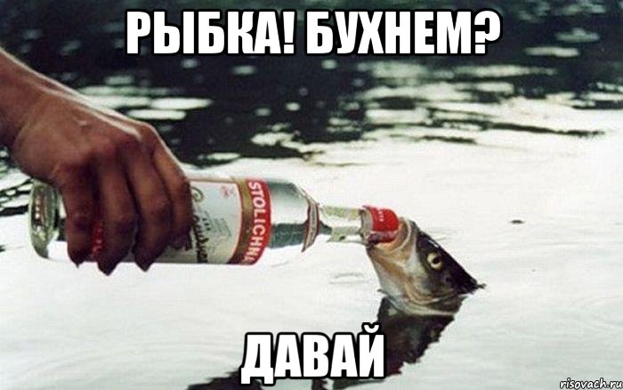 rybka_29589294_orig_.jpg