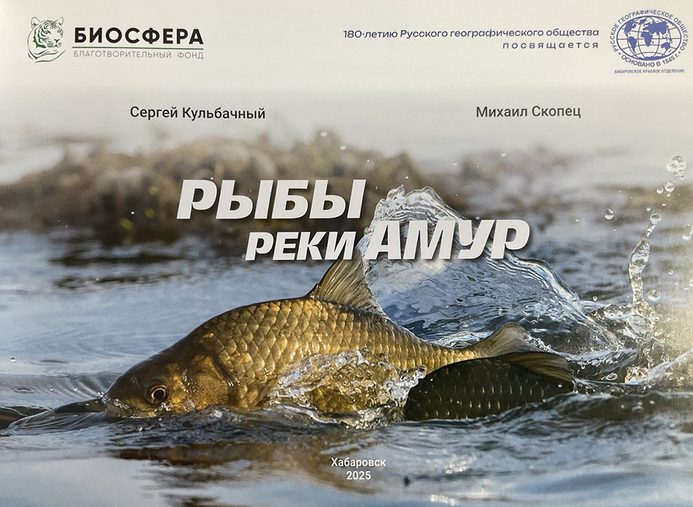 Рыбы Амура 1000.jpg
