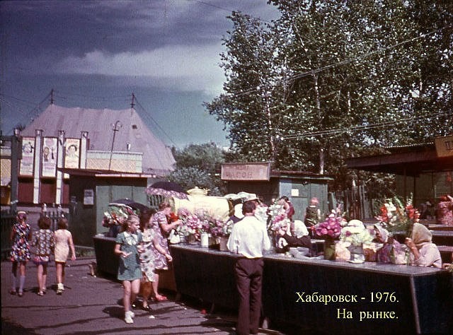 рынок.jpg
