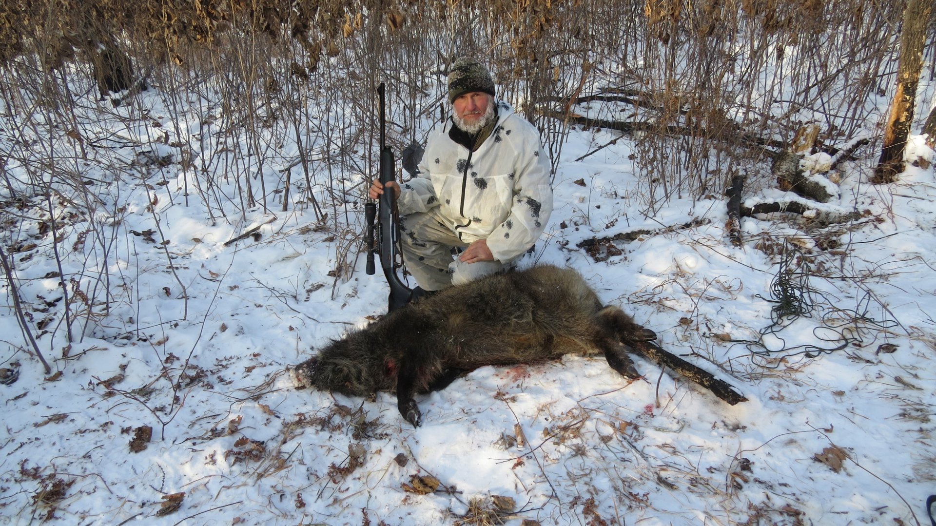 рыжий с лс.jpg