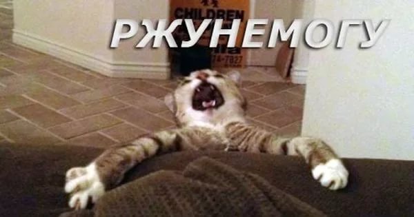 ржу.jpg