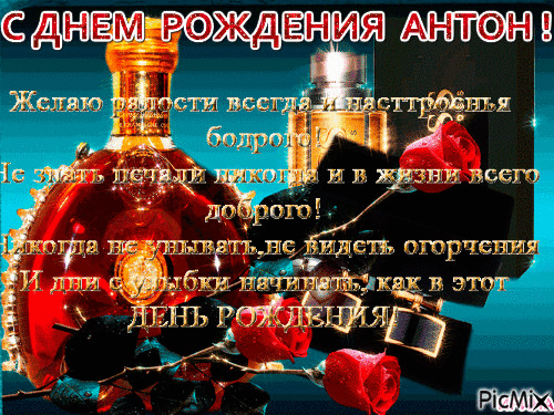 С ДР Антон.gif