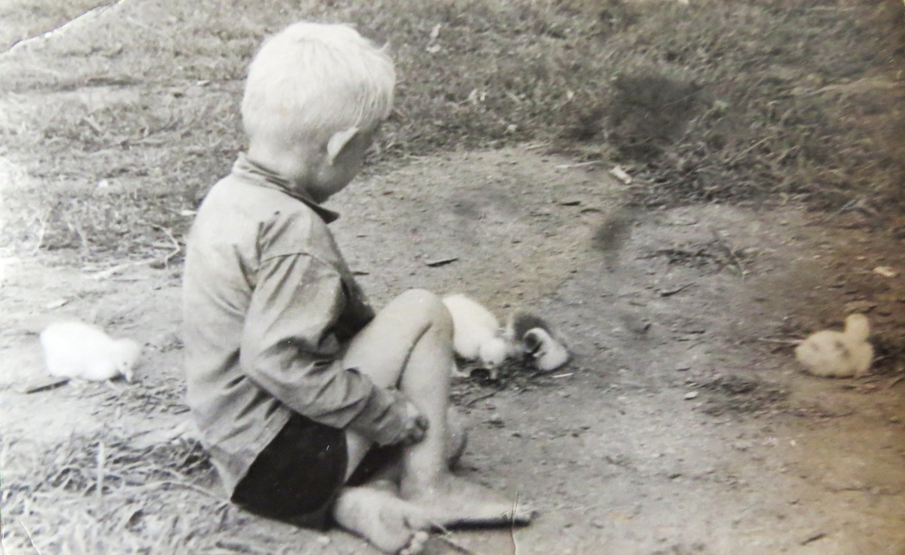 с гусятами.JPG