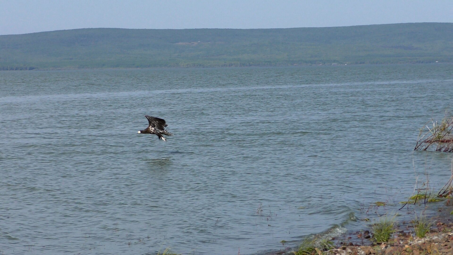 S1900043-0-00-04-039.jpg