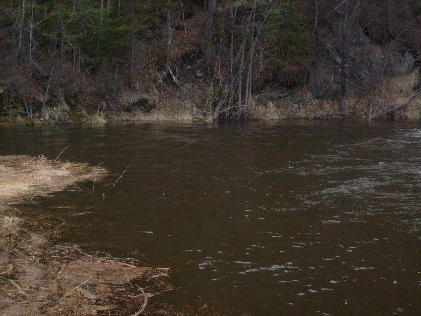 S7300854.JPG