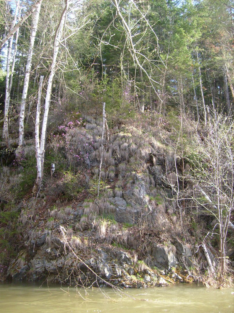 S7300887.JPG