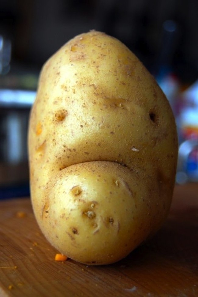 sadfood07.jpg