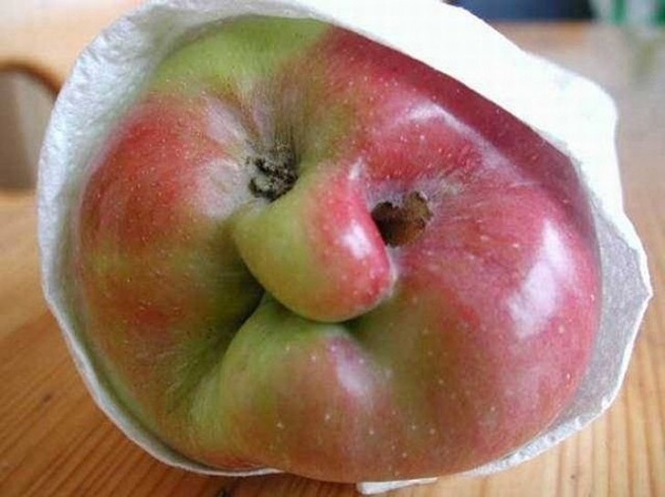 sadfood25.jpg