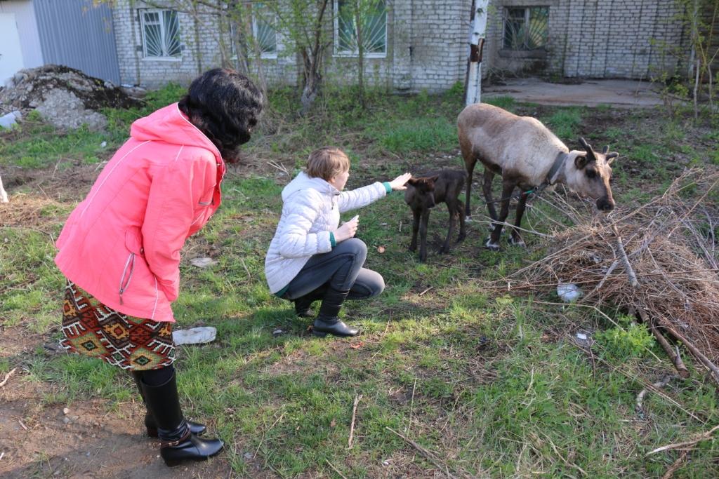 саек важенка.JPG