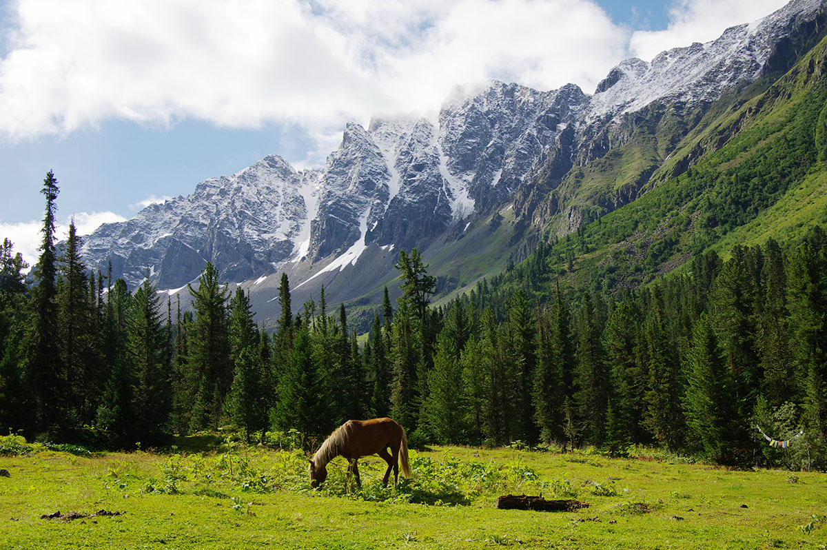 Саяны Балыков.jpg