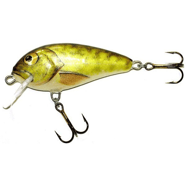 salmo-butcher-br5f.jpg