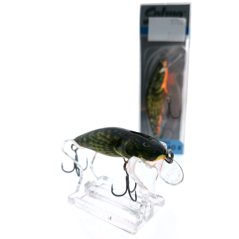 salmo4.jpg
