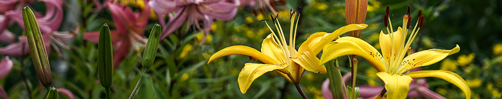 Салон ЦА_1000.jpg