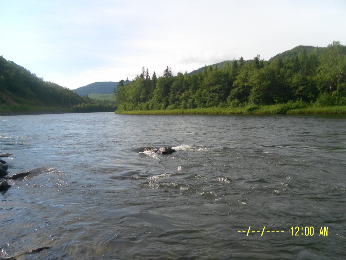 SAM_0352.JPG