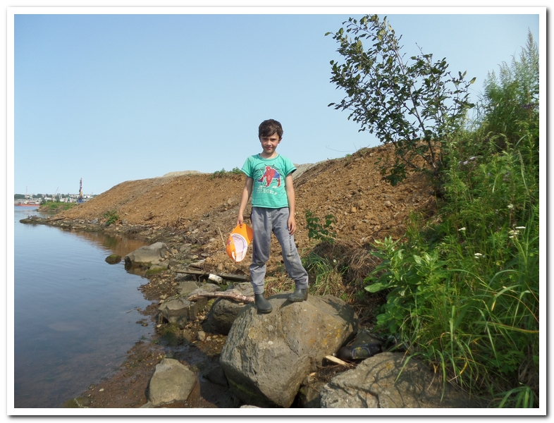 SAM_0906.jpg
