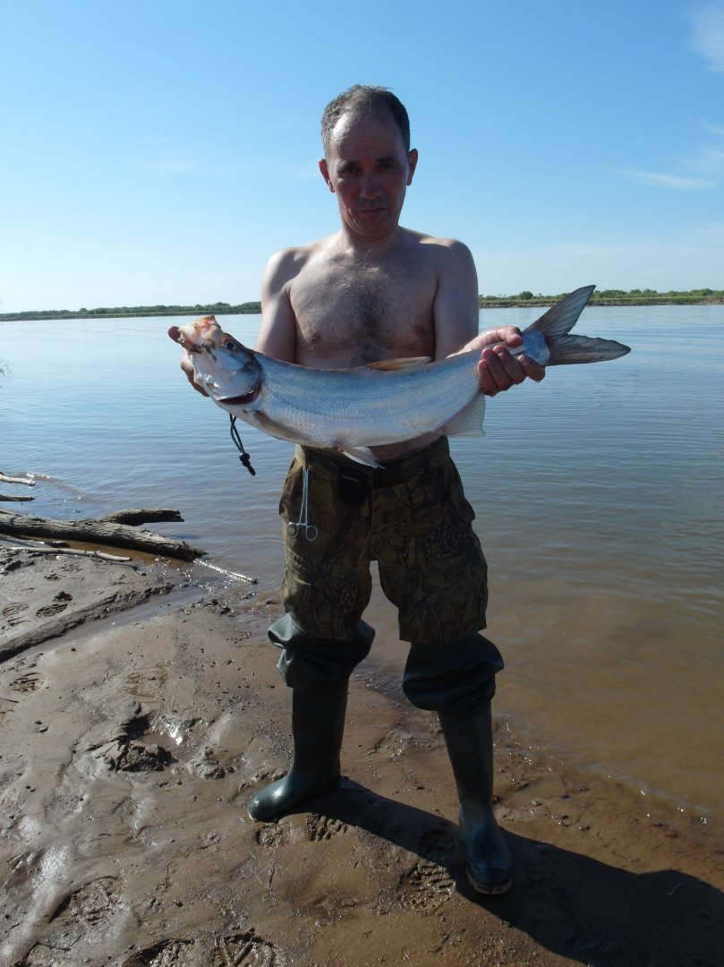 SAM_1529.JPG
