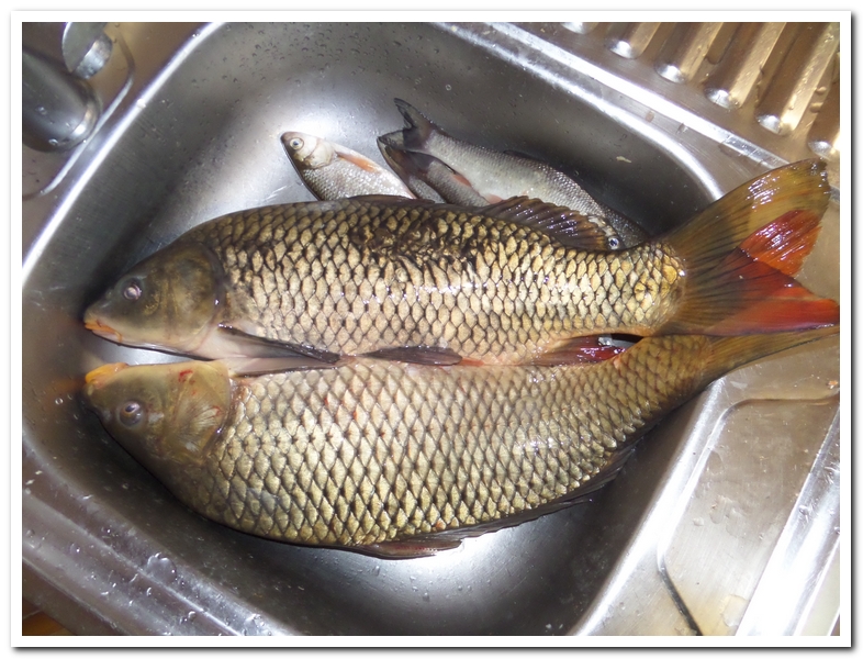 SAM_1757.jpg