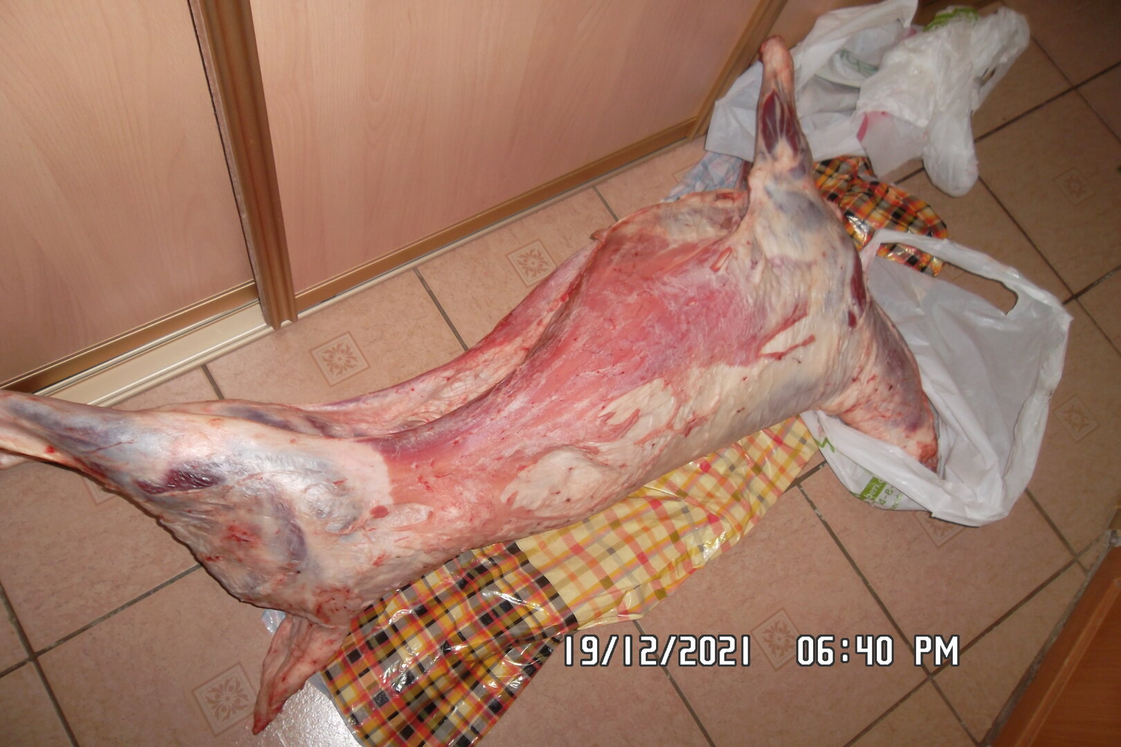SAM_7090.JPG